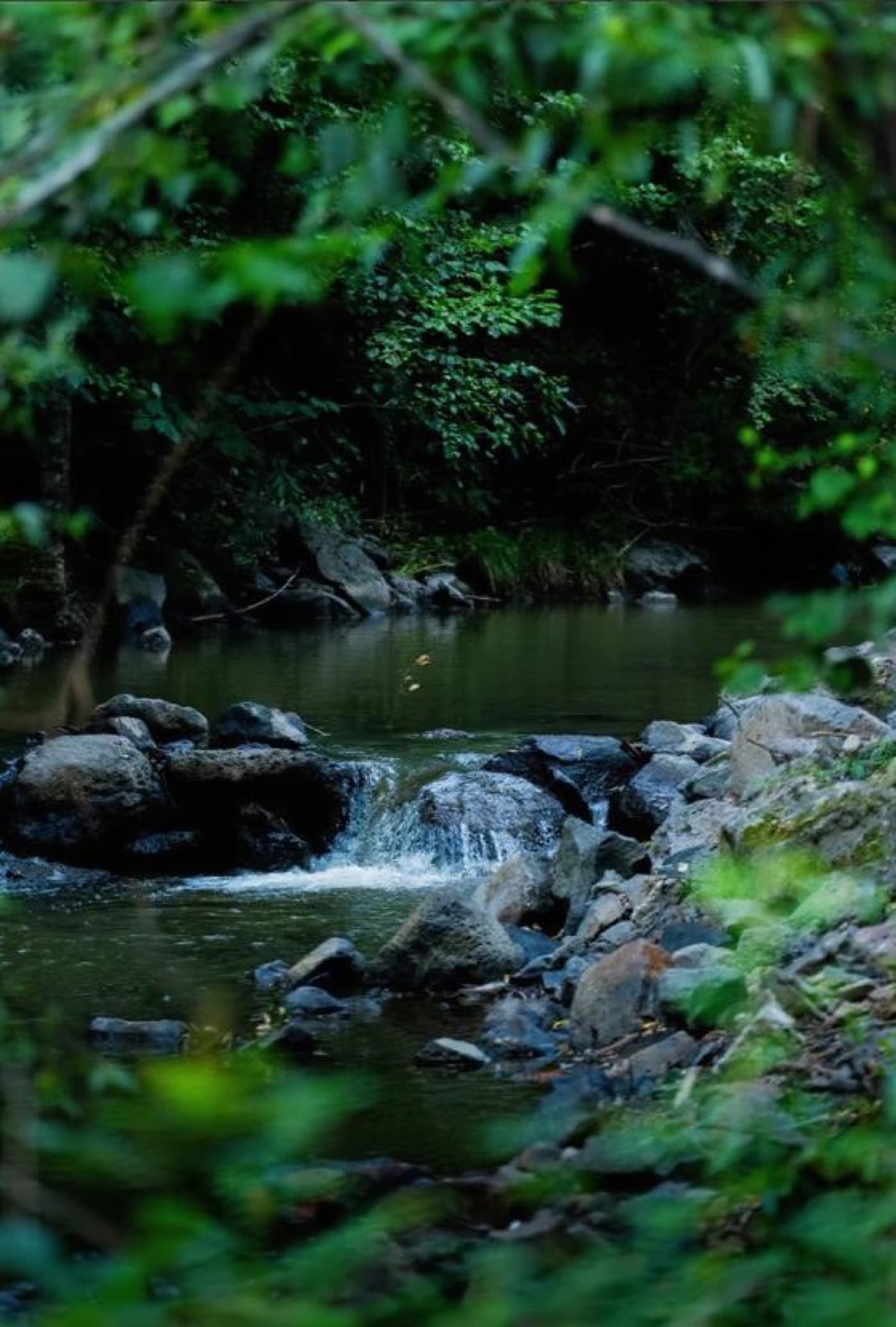 River Trekking
